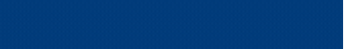 Web Design Service