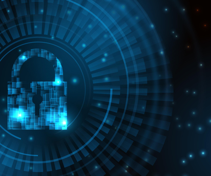 The Role of Data Protection Audits and the Consequences of Non-Compliance